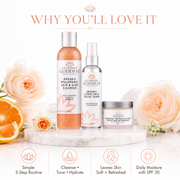 Organic 3-Step Anti-Aging Skin Care Routine