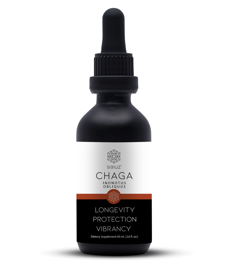Chaga (Skin Health/Beauty/Detox) Mushroom Tincture 2 oz.
