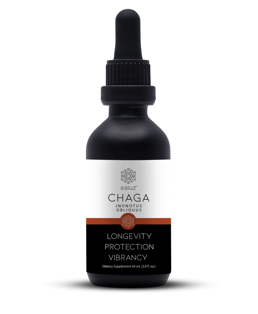 Chaga (Skin Health/Beauty/Detox) Mushroom Tincture 2 oz.